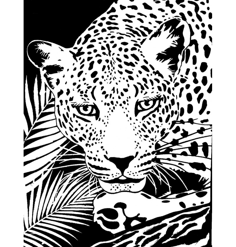 Cuadro Leopardo
