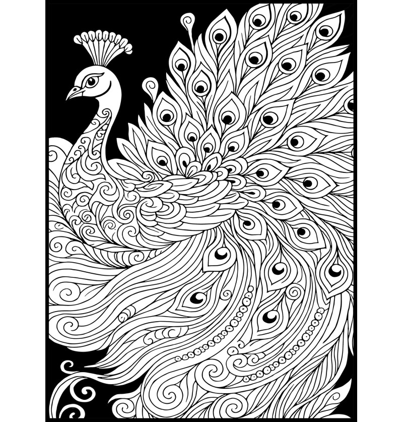 PAVO REAL